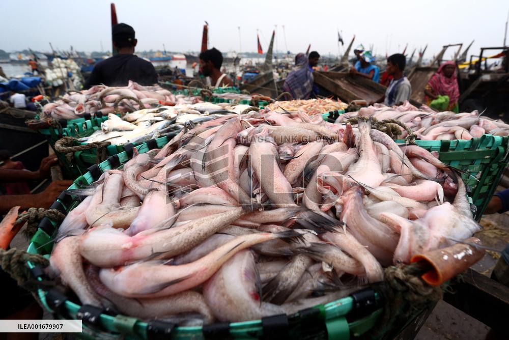 BANGLADESH-CHATTOGRAM-FISH