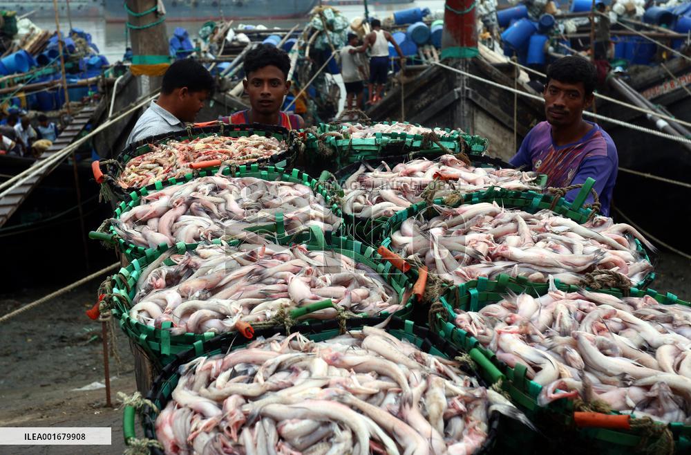 BANGLADESH-CHATTOGRAM-FISH