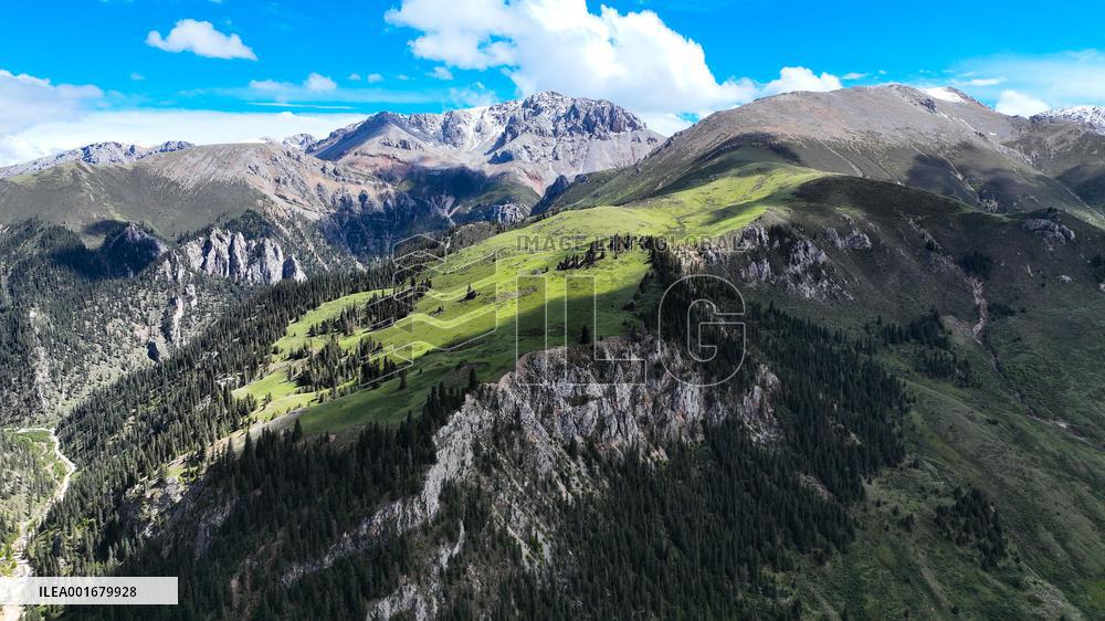 Xinhua Headlines: Chinese ecological wisdom shines in Qinghai-Tibet Plateau national park