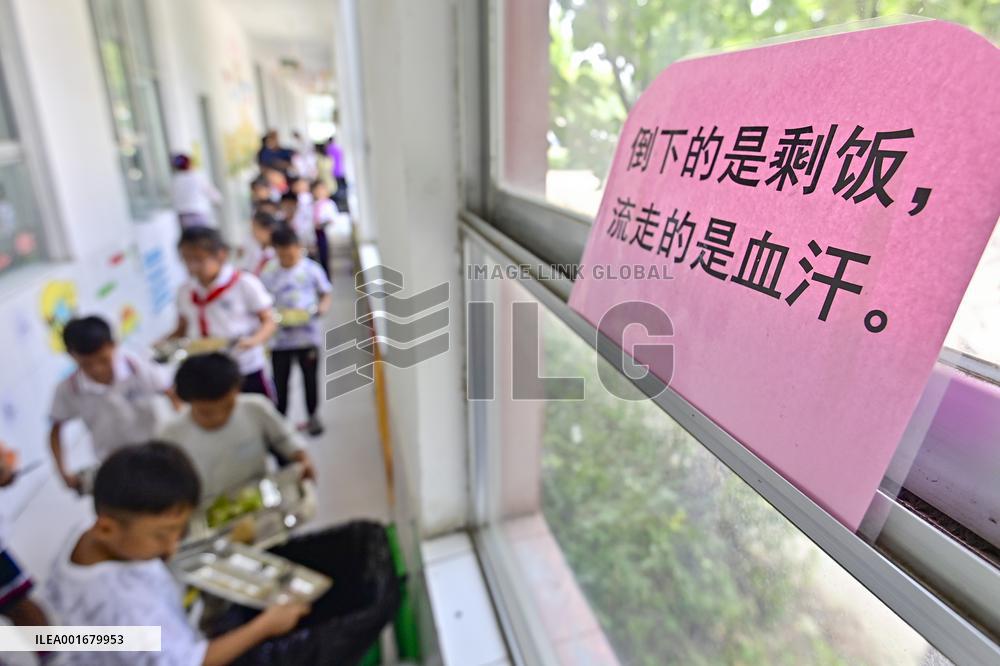 Primary School Nutrition Lunch in Qingzhou