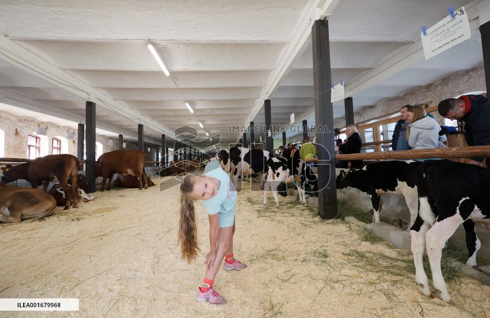 Harvest festival and livestock show