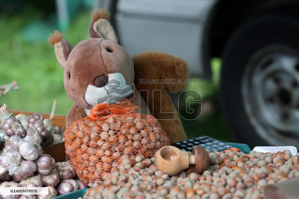 Harvest festival and livestock show