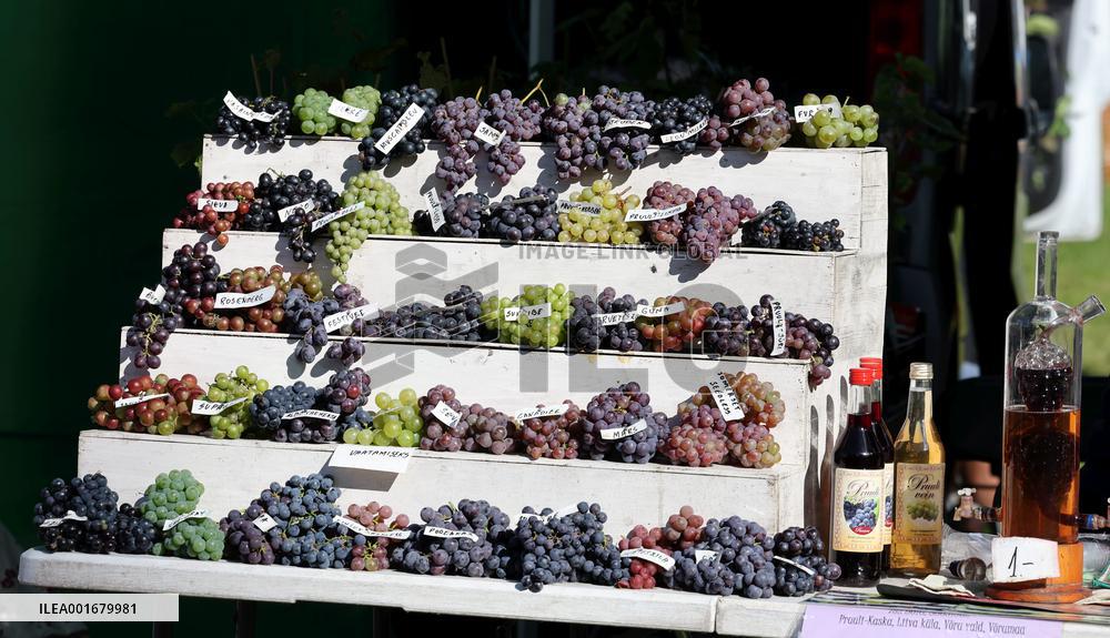 Harvest festival and livestock show