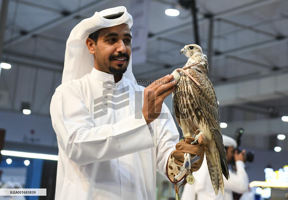 QATAR-DOHA-HUNTING AND FALCONS EXHIBITION