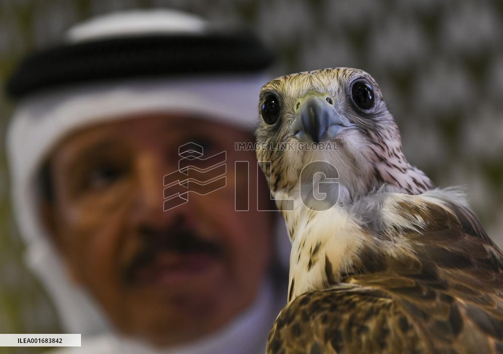 QATAR-DOHA-HUNTING AND FALCONS EXHIBITION