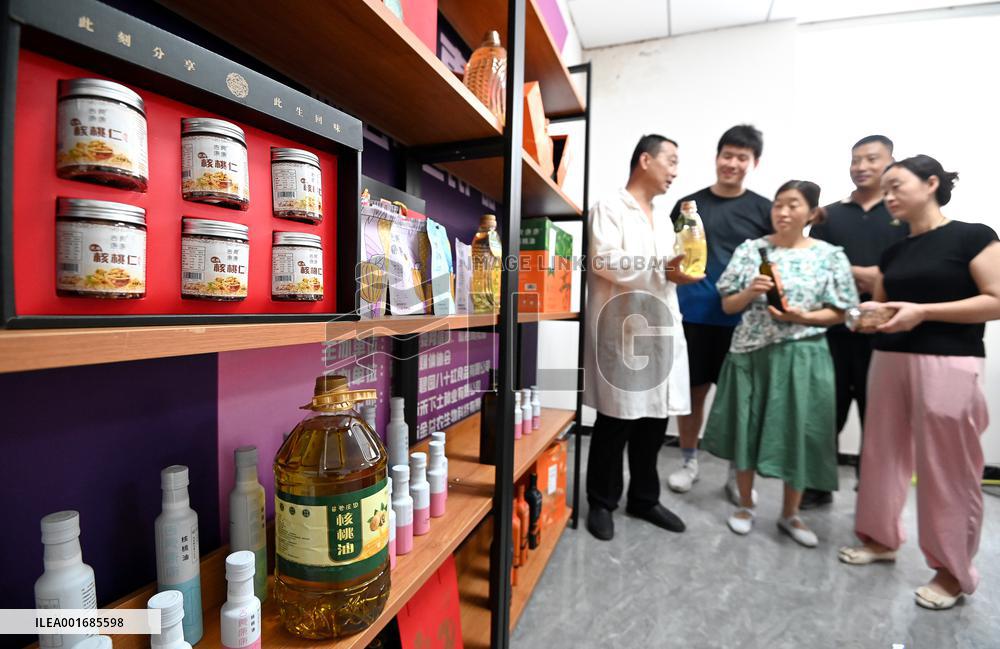 Walnut Industry Chain in Handan