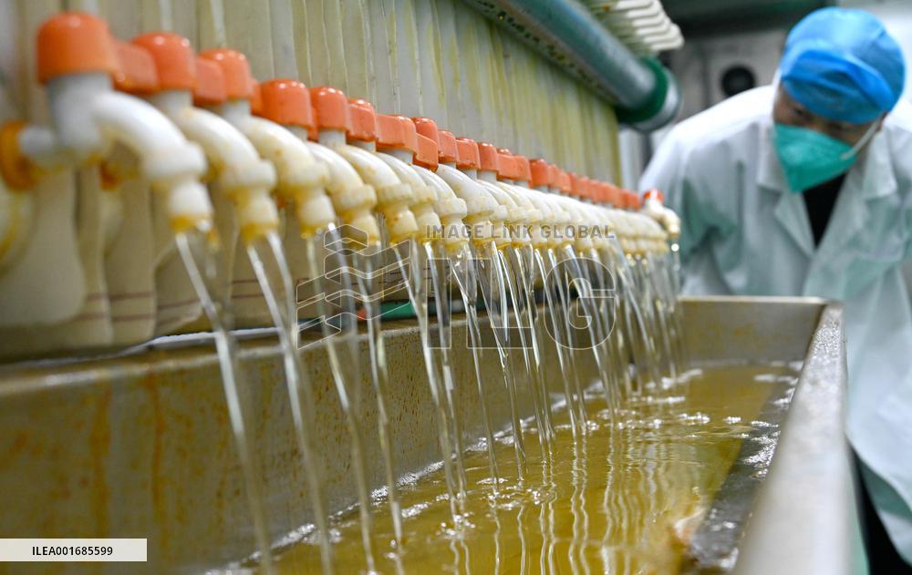 Walnut Industry Chain in Handan