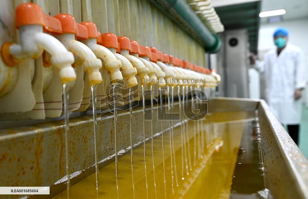 Walnut Industry Chain in Handan