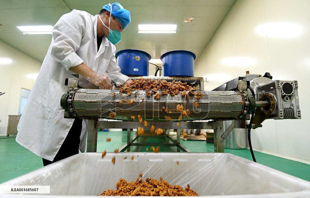 Walnut Industry Chain in Handan