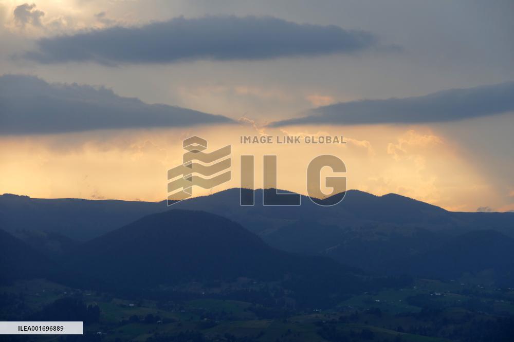Fireweed blooms in Carpathians