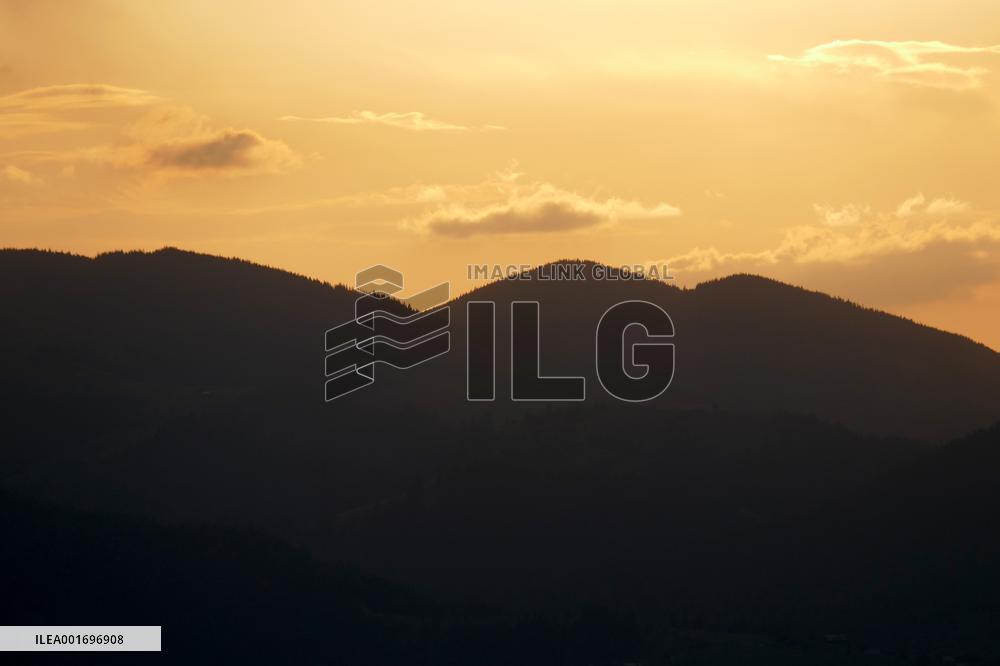 Fireweed blooms in Carpathians