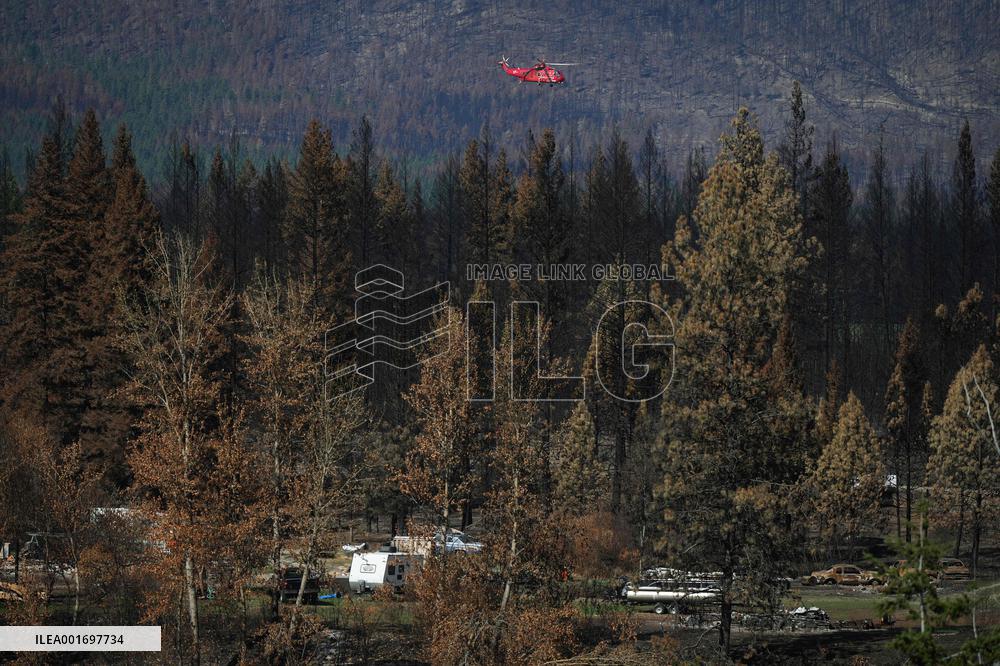Bush Creek East Wildfire Aftermath - British Columbia