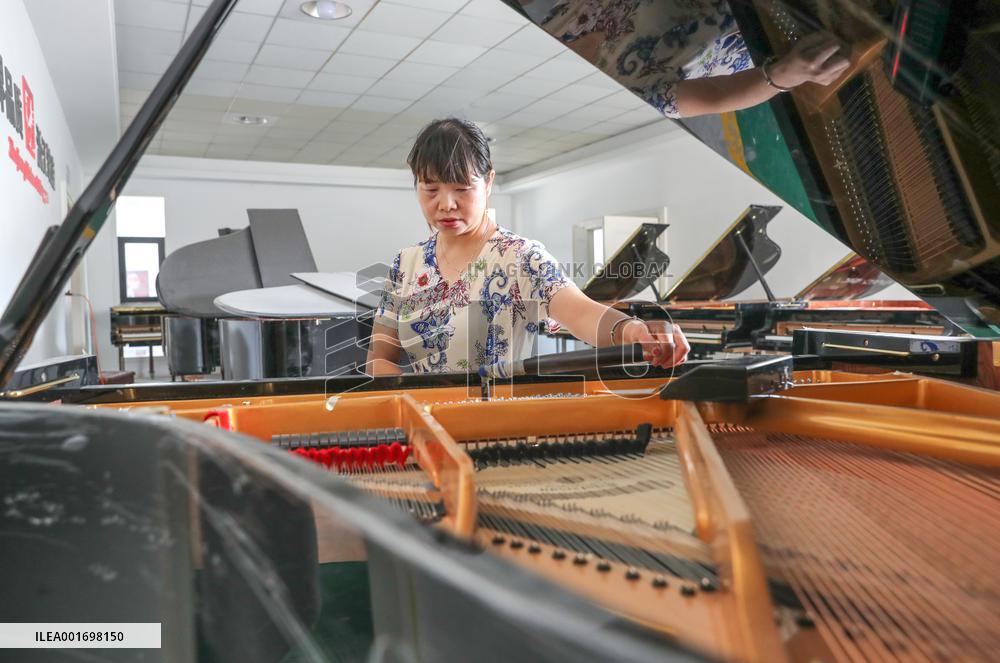 China Manufacturing Industry Piano Products