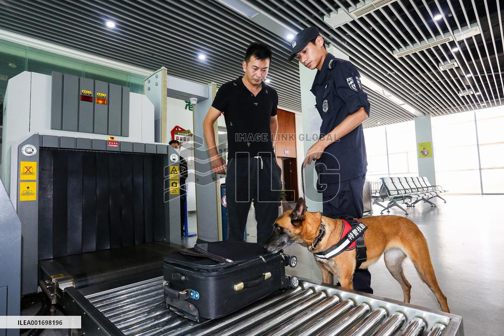 Handlers Train Police Dogs in Zhoushan