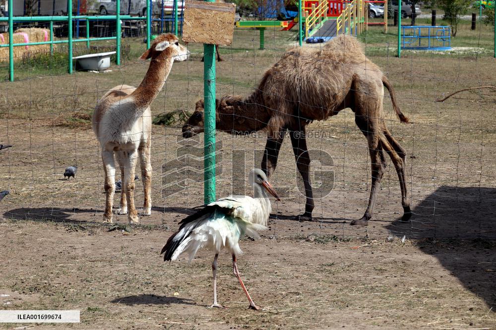 Restoration of Kharkiv ecopark