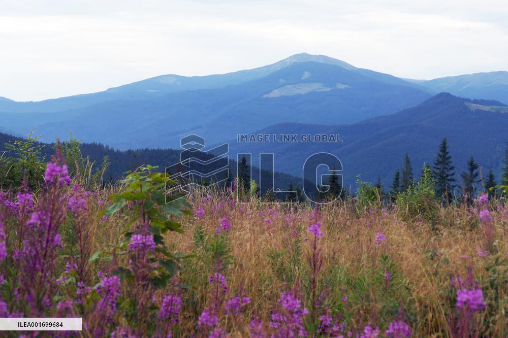 Carpathian mountains