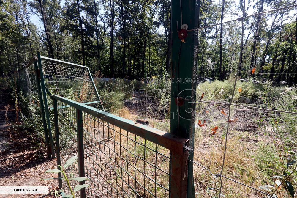 Restoration of Kharkiv ecopark