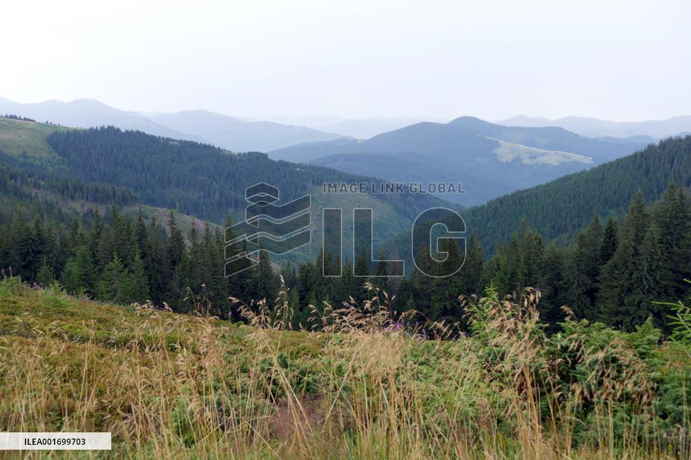 Carpathian mountains