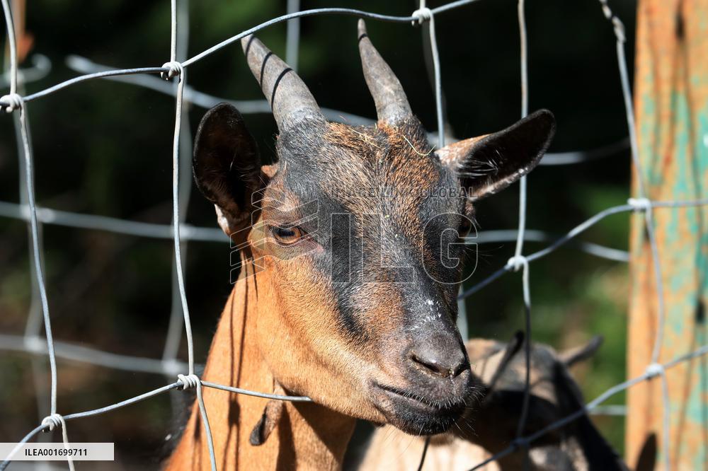 Restoration of Kharkiv ecopark
