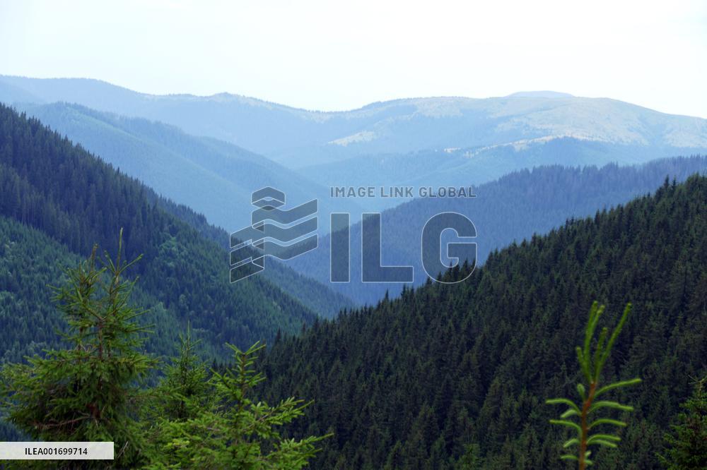 Carpathian mountains