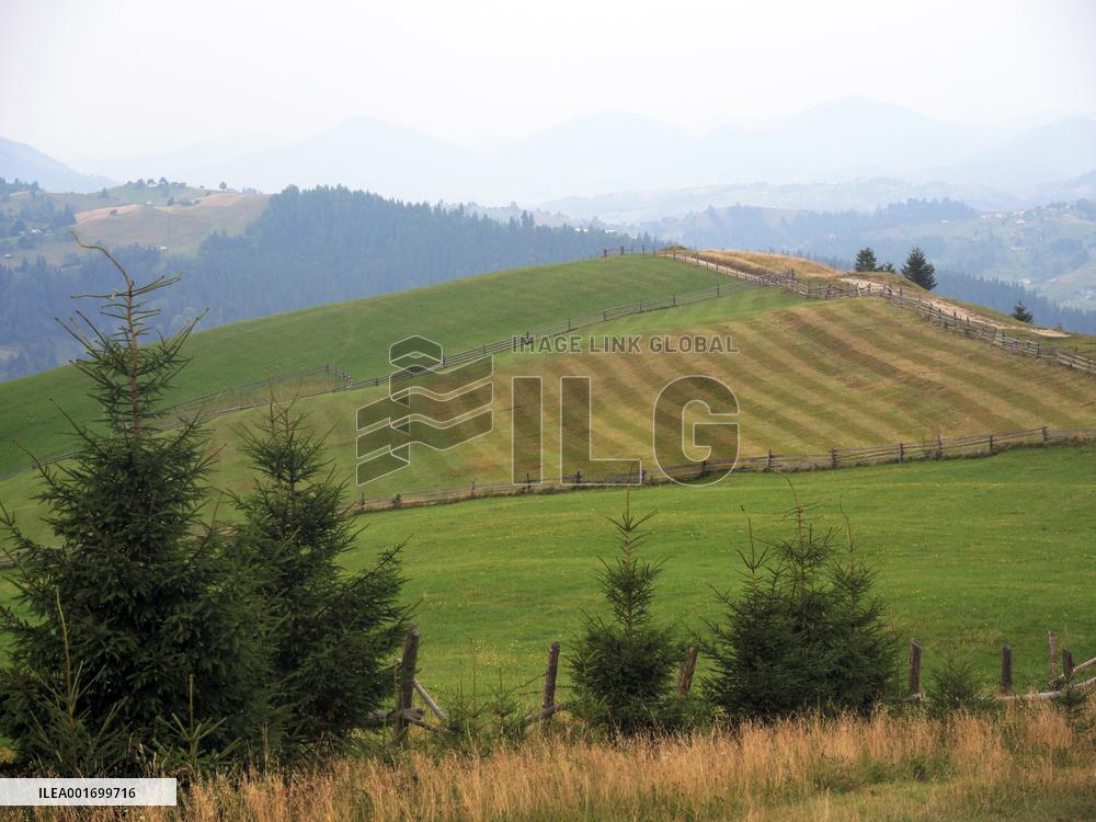 Carpathian mountains