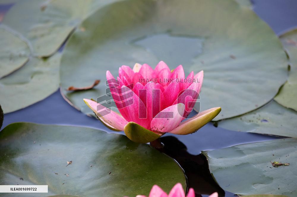 Restoration of Kharkiv ecopark