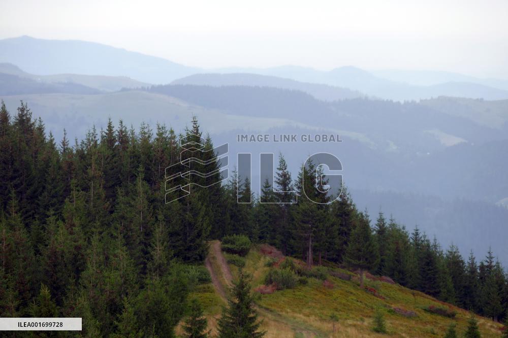 Carpathian mountains