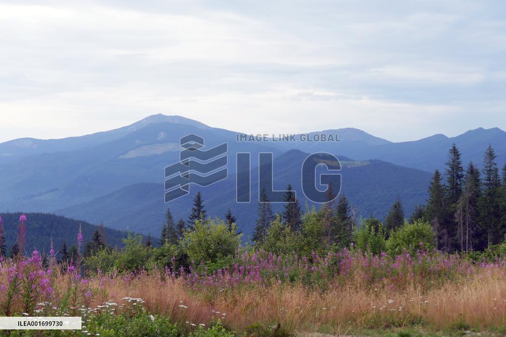 Carpathian mountains