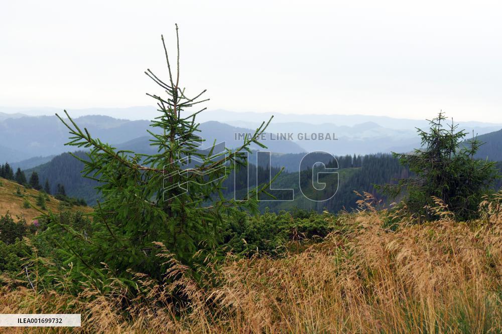 Carpathian mountains