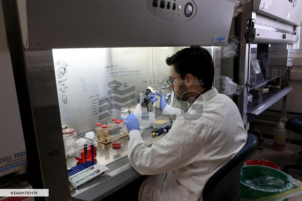 ISRAEL-RECHOVOT-STEM CELL-HUMAN EMBRYO-ARTIFICIAL MODEL