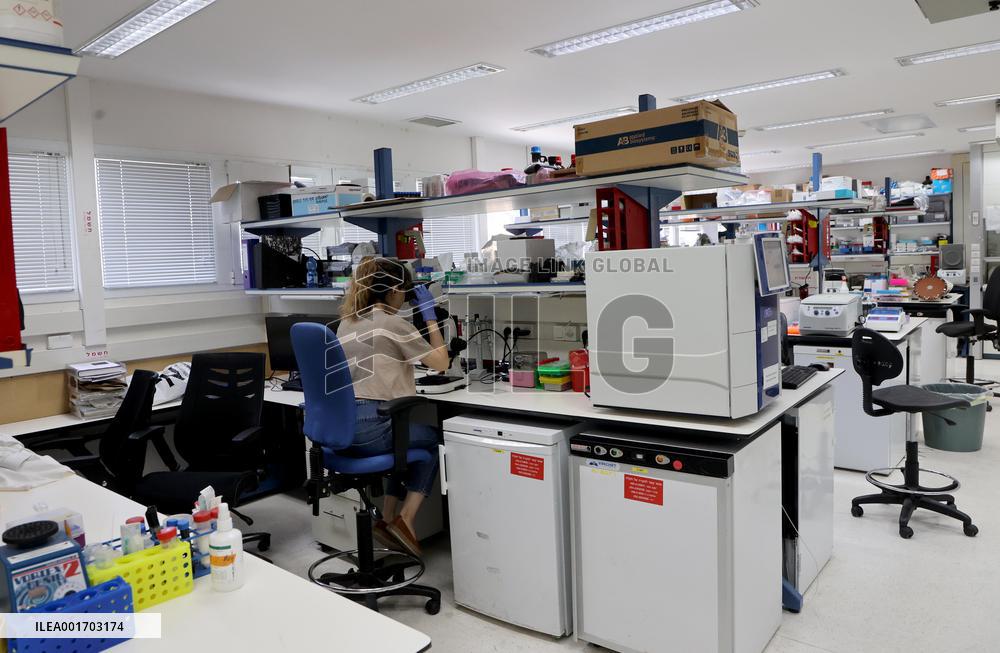 ISRAEL-RECHOVOT-STEM CELL-HUMAN EMBRYO-ARTIFICIAL MODEL