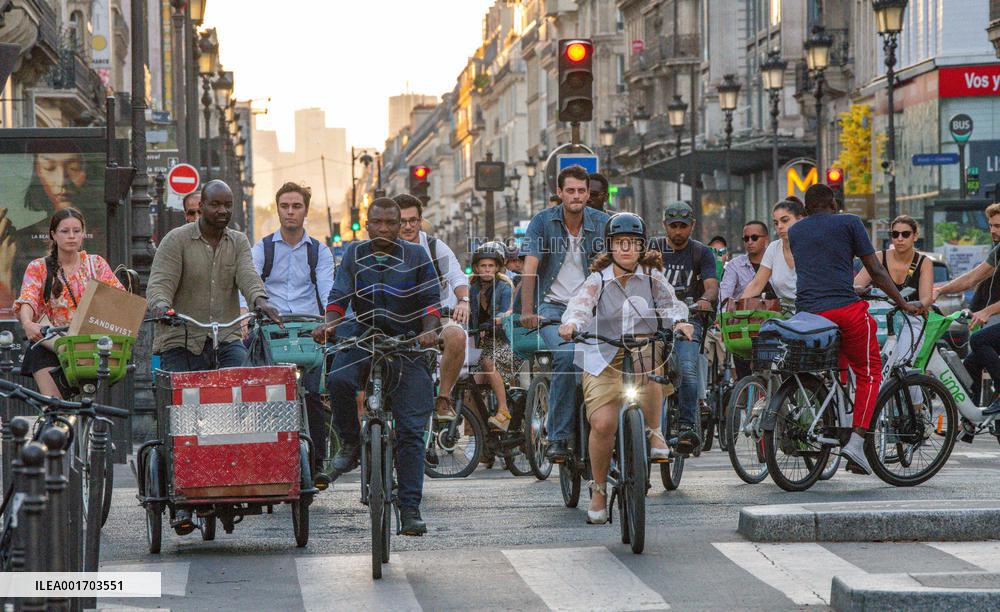 Traffic Jam On Cycling Lanes - Paris