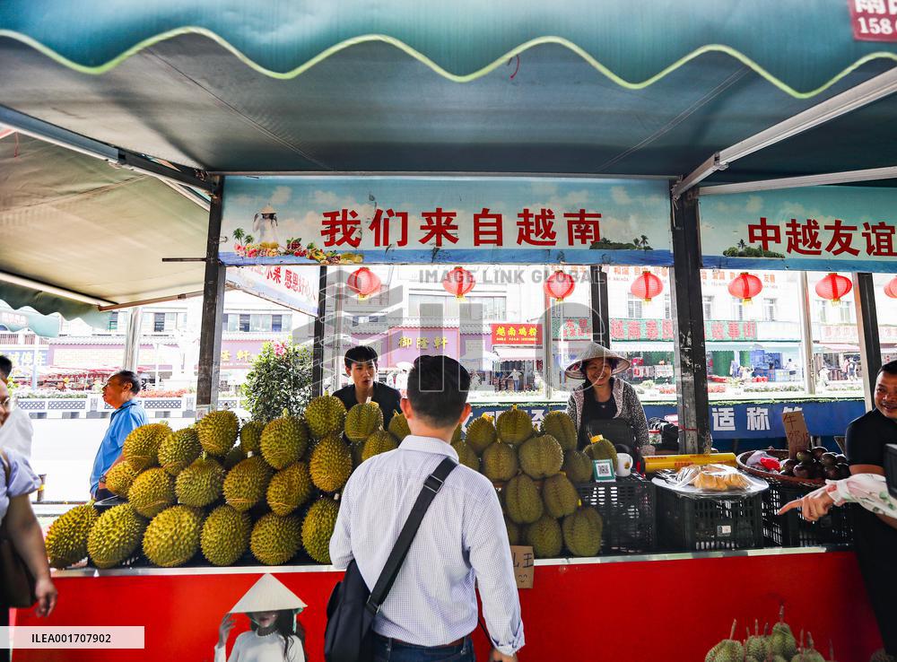 (EnchantingGuangxi) CHINA-GUANGXI-ASEAN-EXCHANGE-COOPERATION (CN)