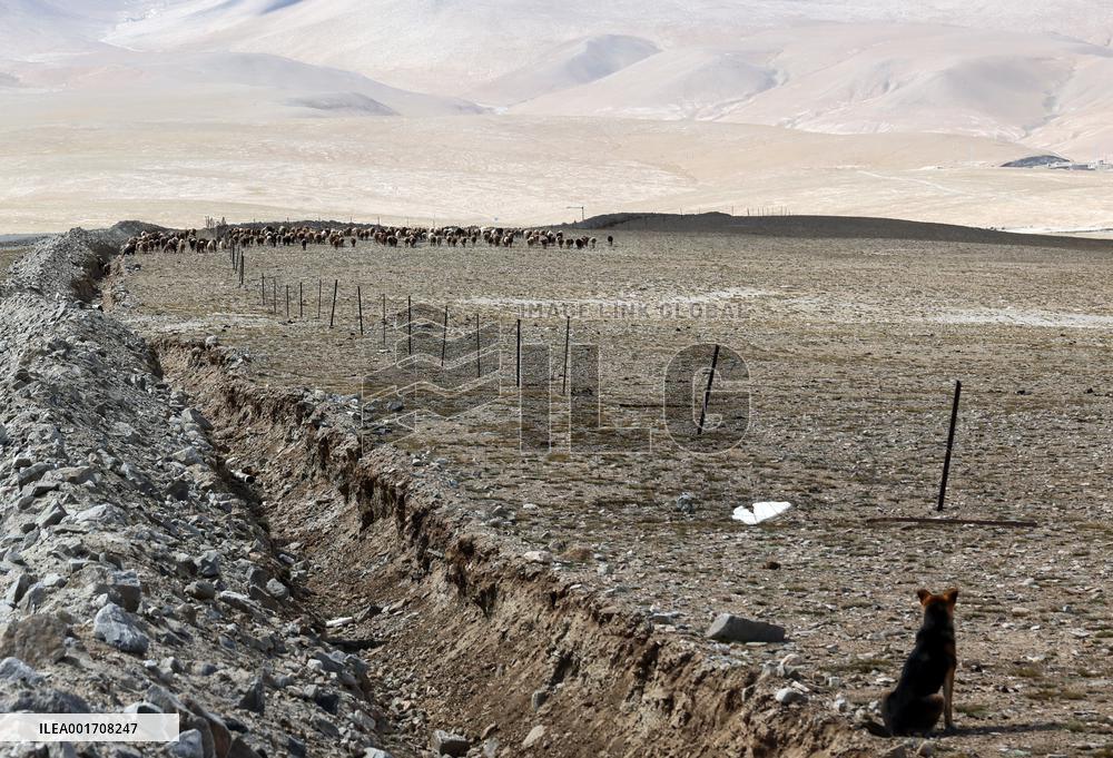 CHINA-XINJIANG-TAXKORGAN-SHEEPHERDER (CN)