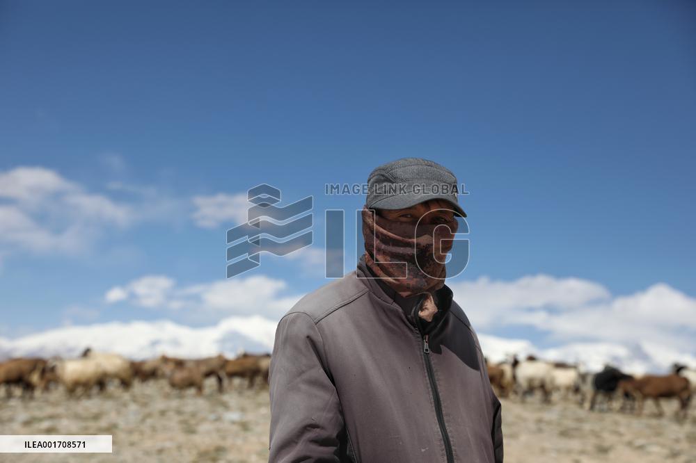 CHINA-XINJIANG-TAXKORGAN-SHEEPHERDER (CN)