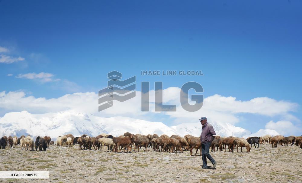CHINA-XINJIANG-TAXKORGAN-SHEEPHERDER (CN)
