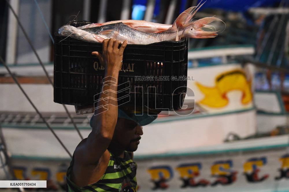 BRAZIL-BELEM-FISH MARKET