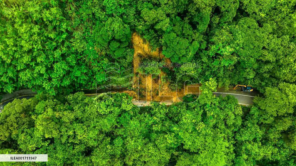 A Mudslide on A Road at Wutong Mountain in Shenzhen