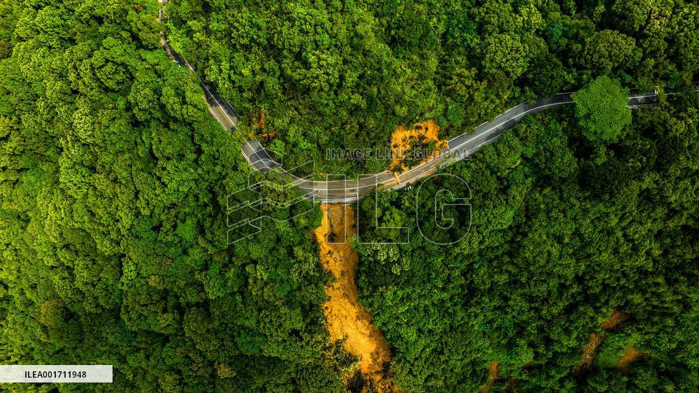 A Mudslide on A Road at Wutong Mountain in Shenzhen