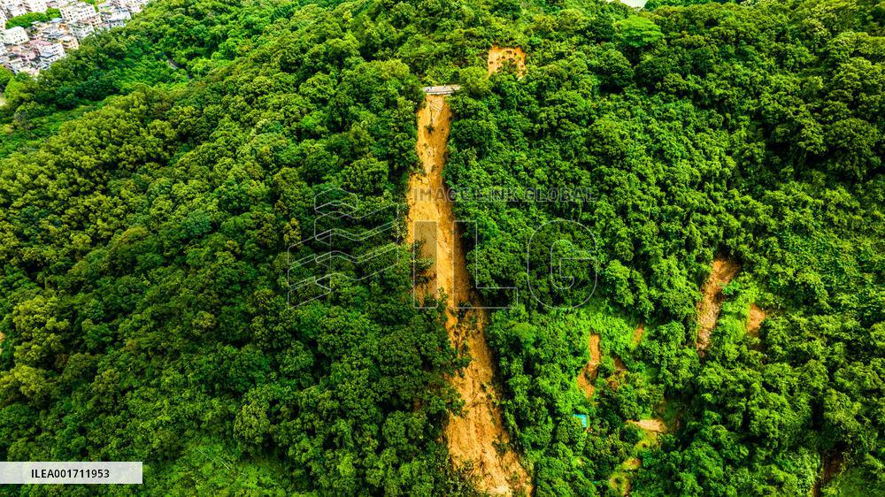 A Mudslide on A Road at Wutong Mountain in Shenzhen