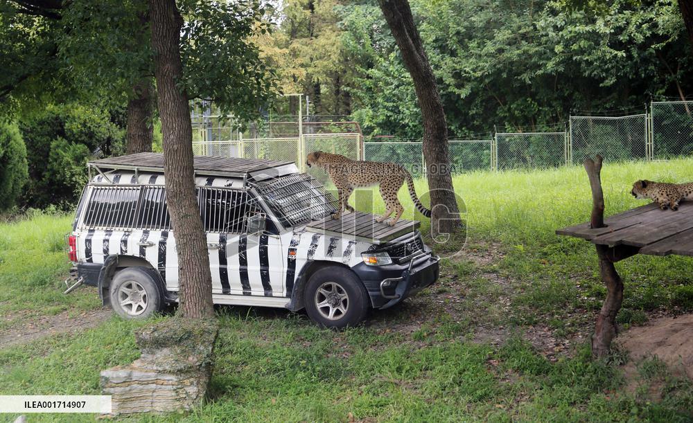 Shanghai Wild Animal Park