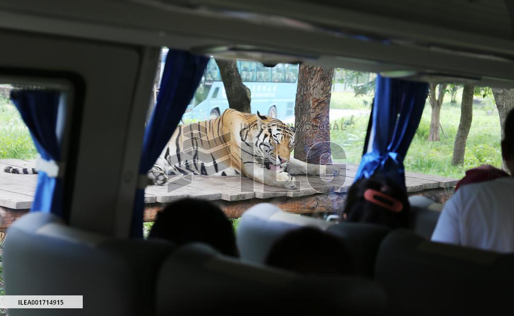 Shanghai Wild Animal Park