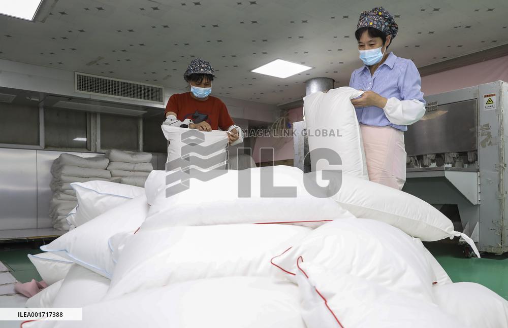 China Manufacturing Industry Down Bedding Products