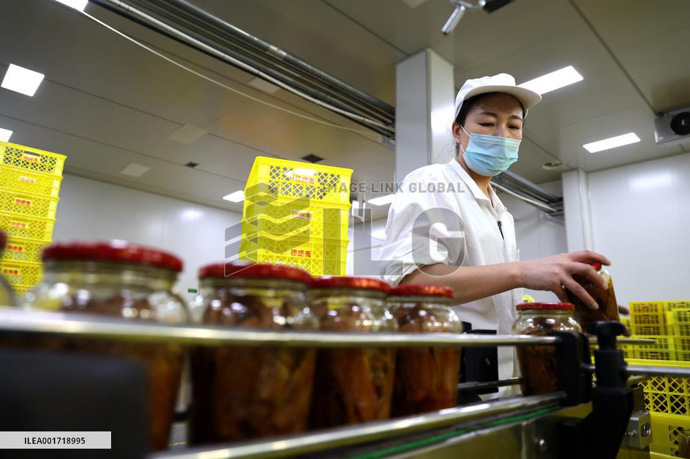 China Manufacturing Industry Prefabricated Dishes