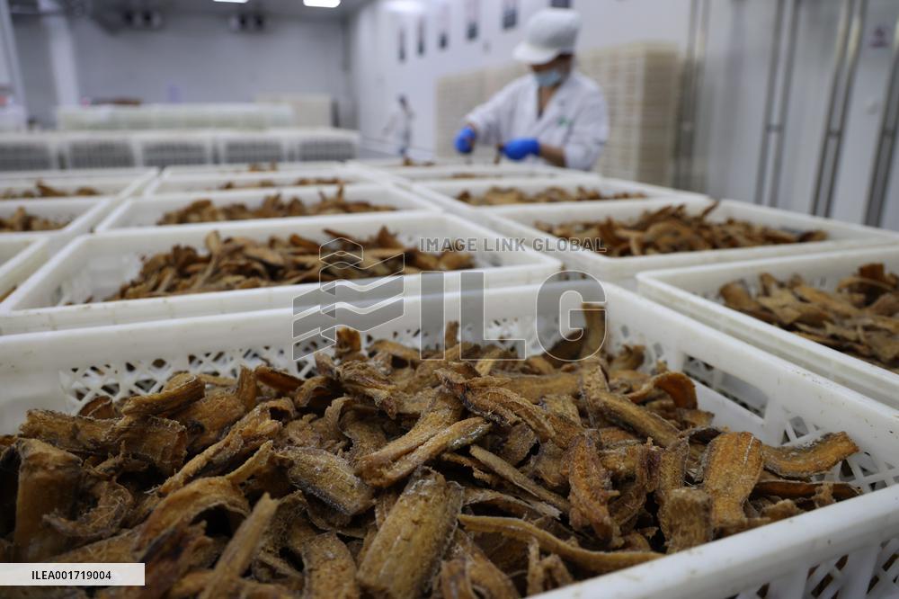 China Manufacturing Industry Prefabricated Dishes