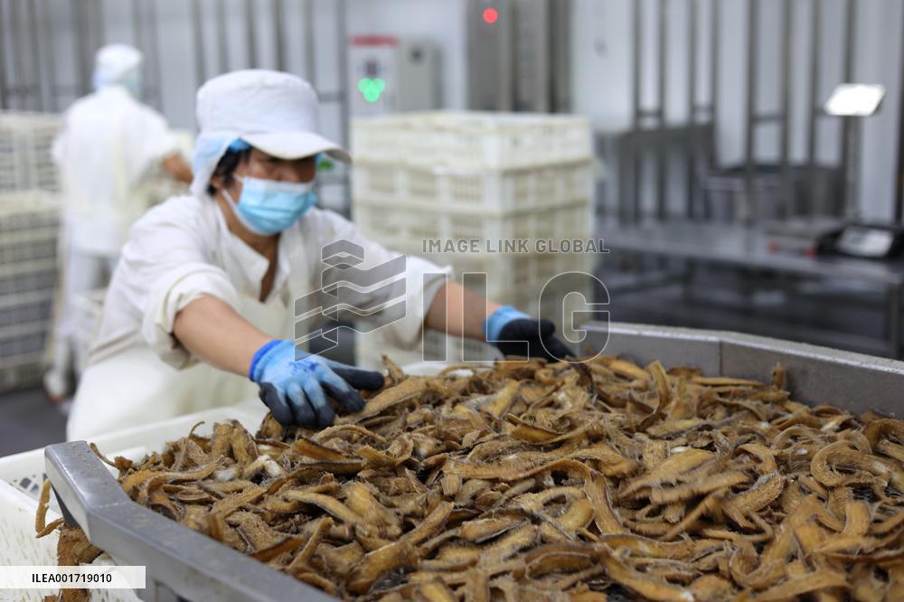 China Manufacturing Industry Prefabricated Dishes