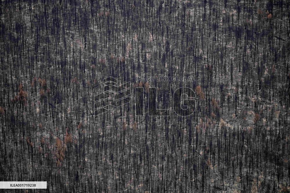 Bush Creek East Wildfire Aftermath - Canada