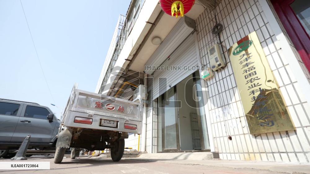 Australian expat pursues career in agriculture in China