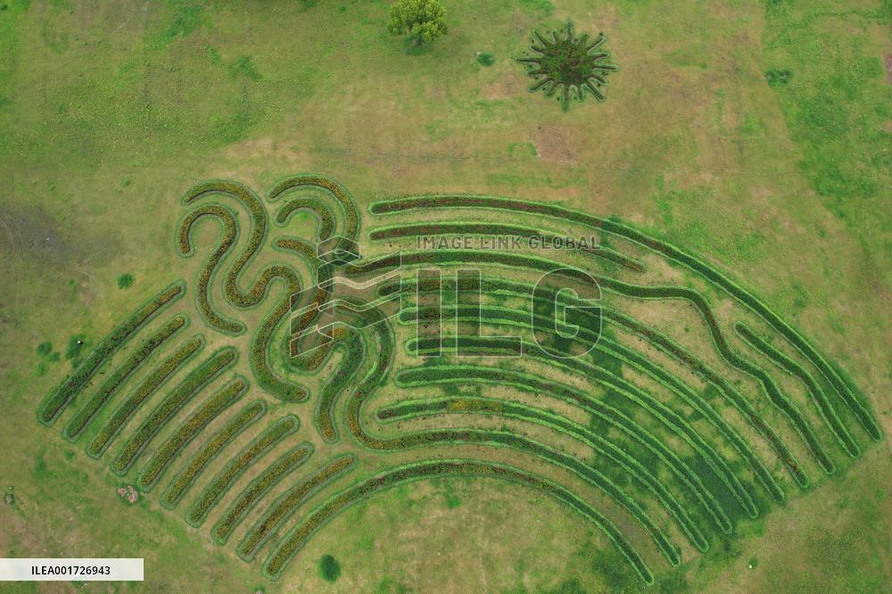 Giant Green Plant Asian Games Emblem Unveiled in Hangzhou