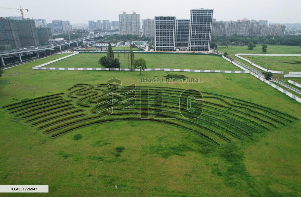 Giant Green Plant Asian Games Emblem Unveiled in Hangzhou